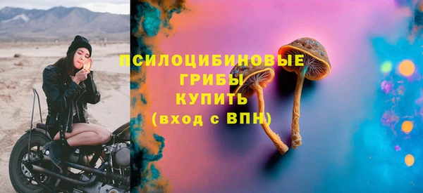 таблы Белокуриха
