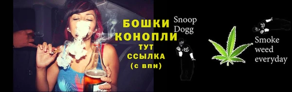 PSILOCYBIN Белоозёрский