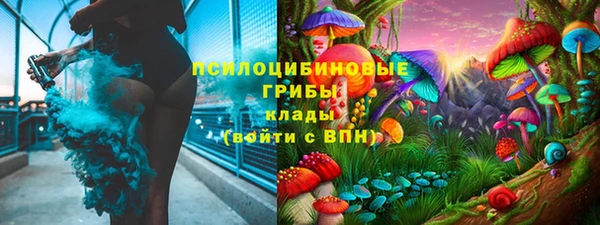 мдпв Беломорск