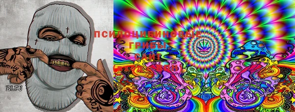 PSILOCYBIN Белоозёрский