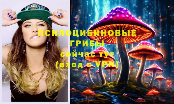 PSILOCYBIN Белоозёрский